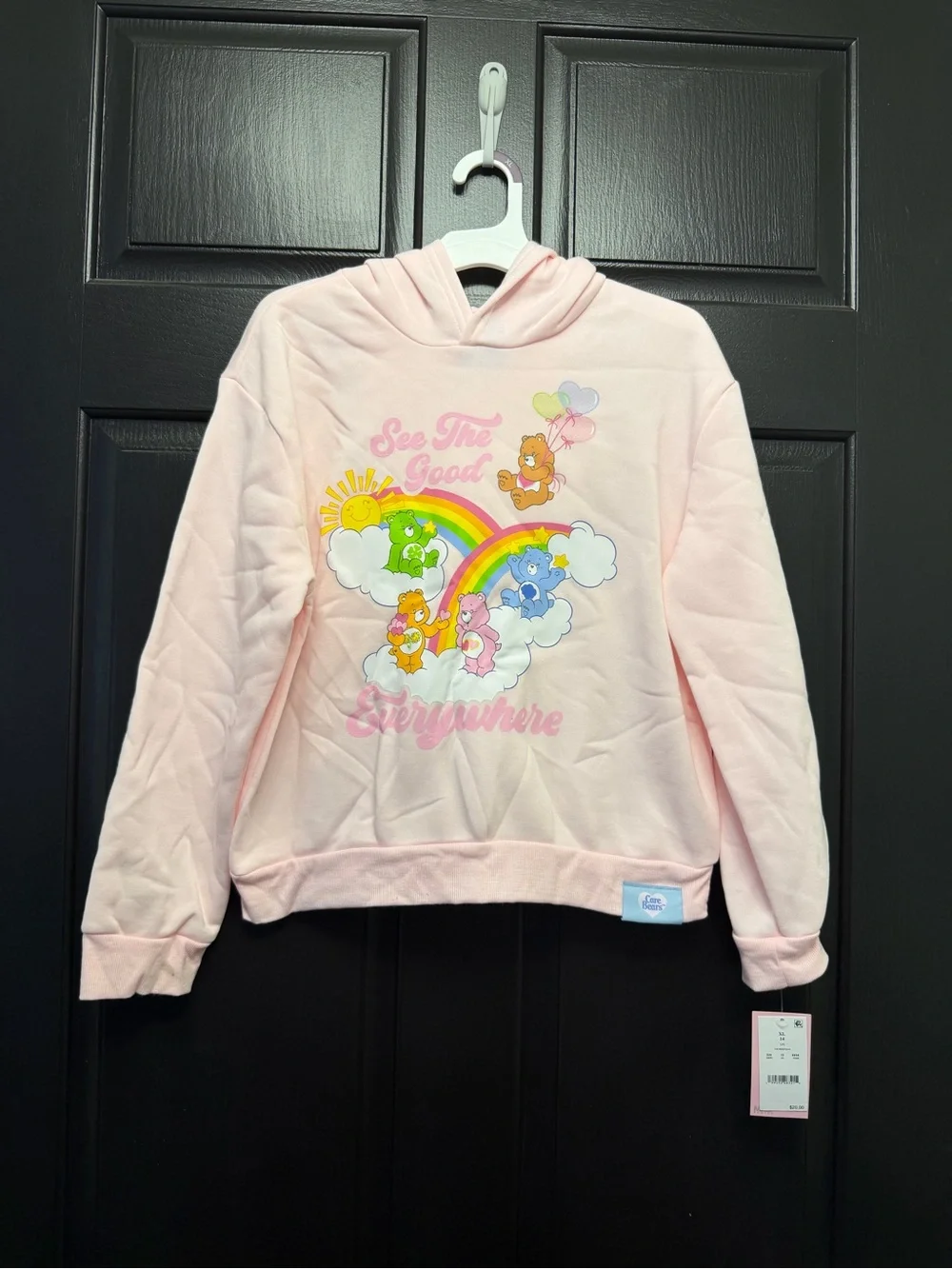 Girls Pink Care bear Hoodie Size XL 14 New with tags